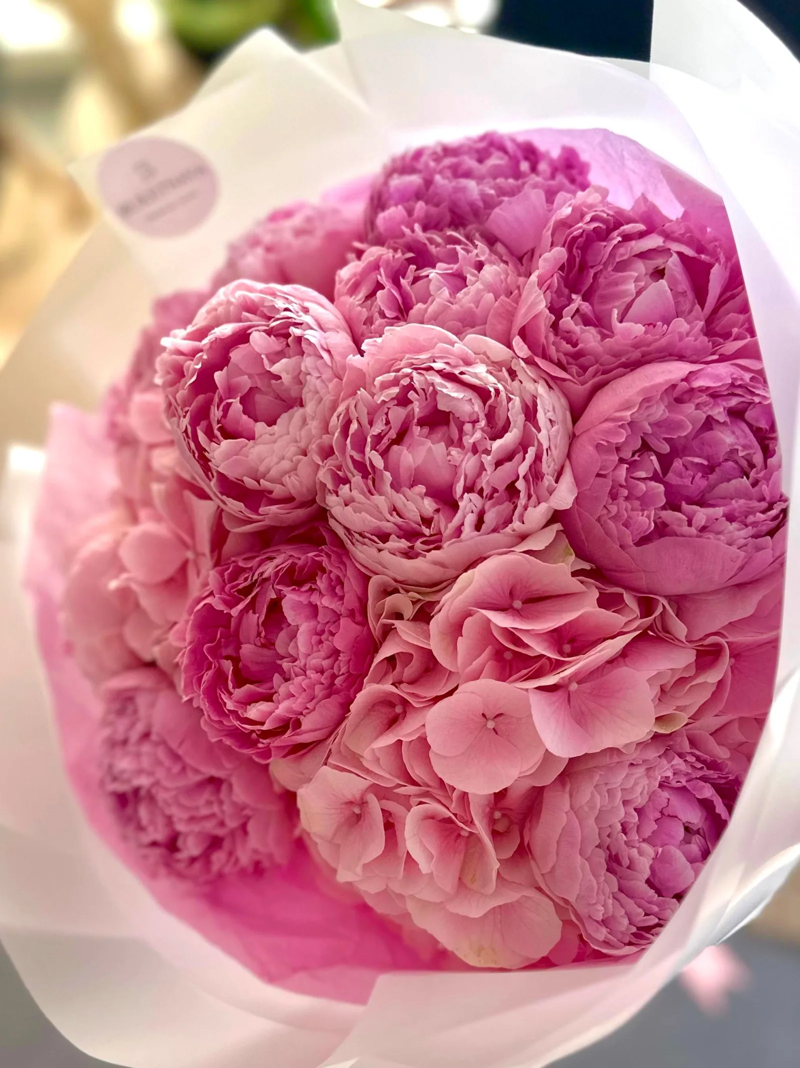 Blush Peony flowers