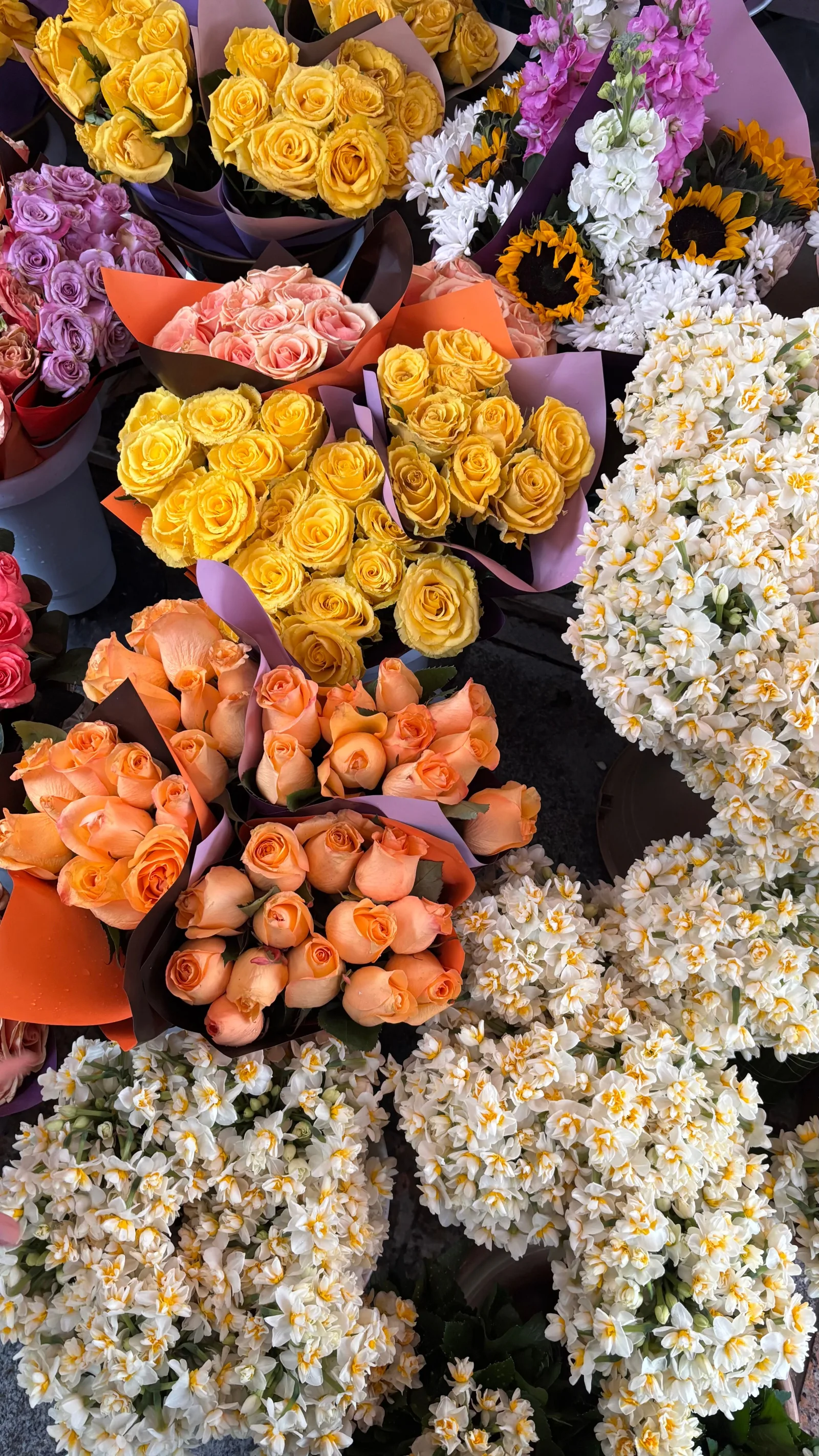 Bunny Tail Bunch flowers
