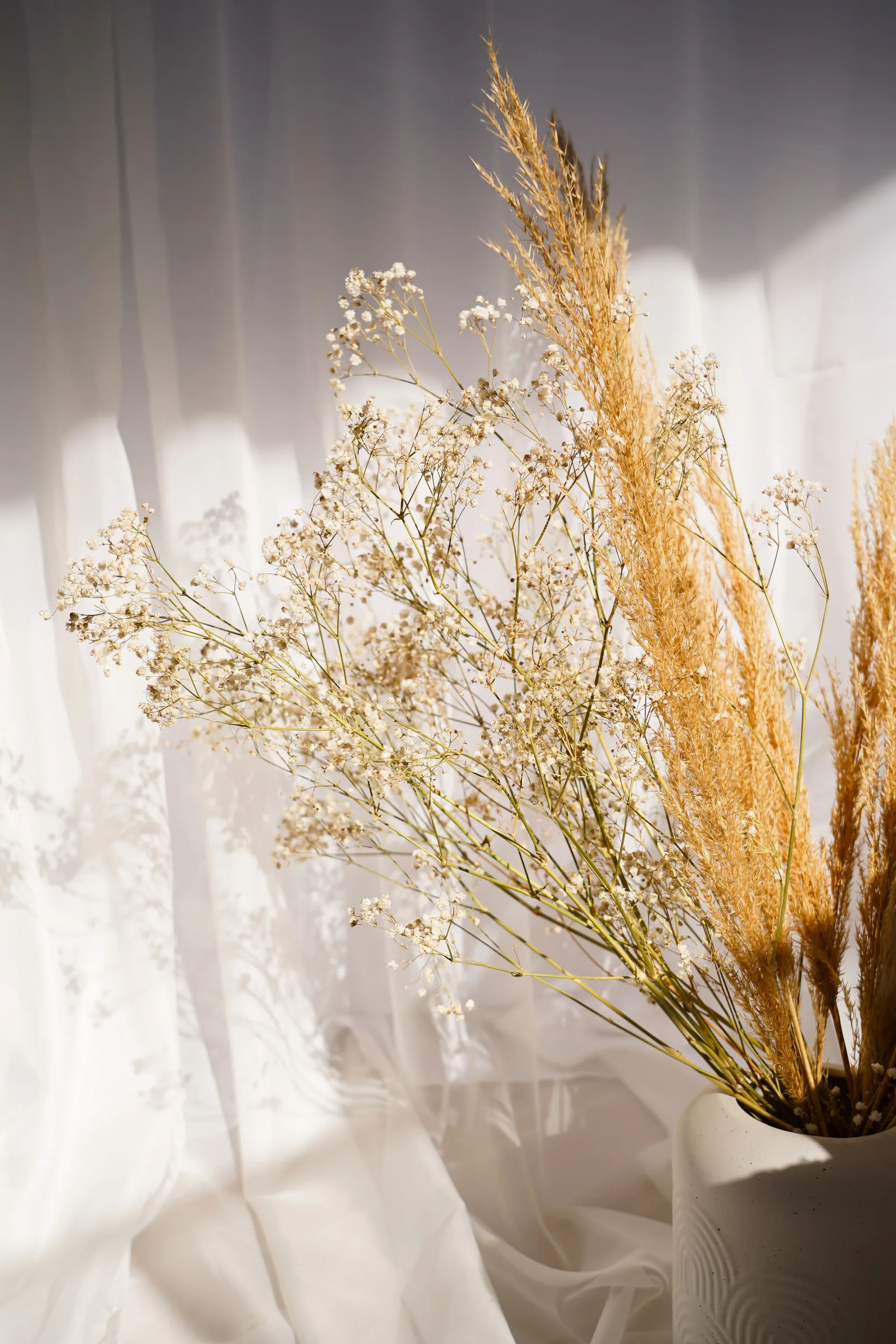 Dried Pampas flowers