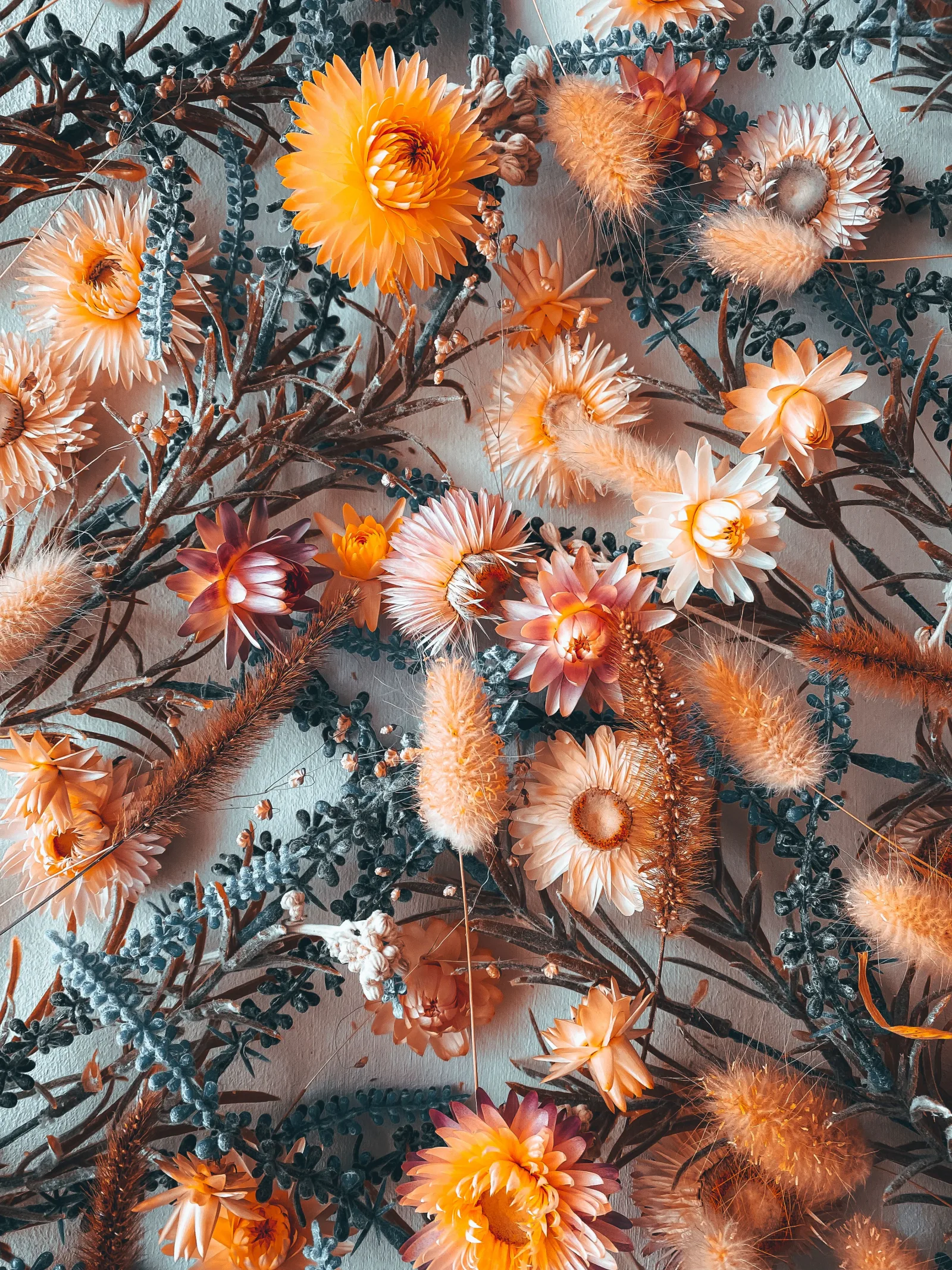 Dried flowers