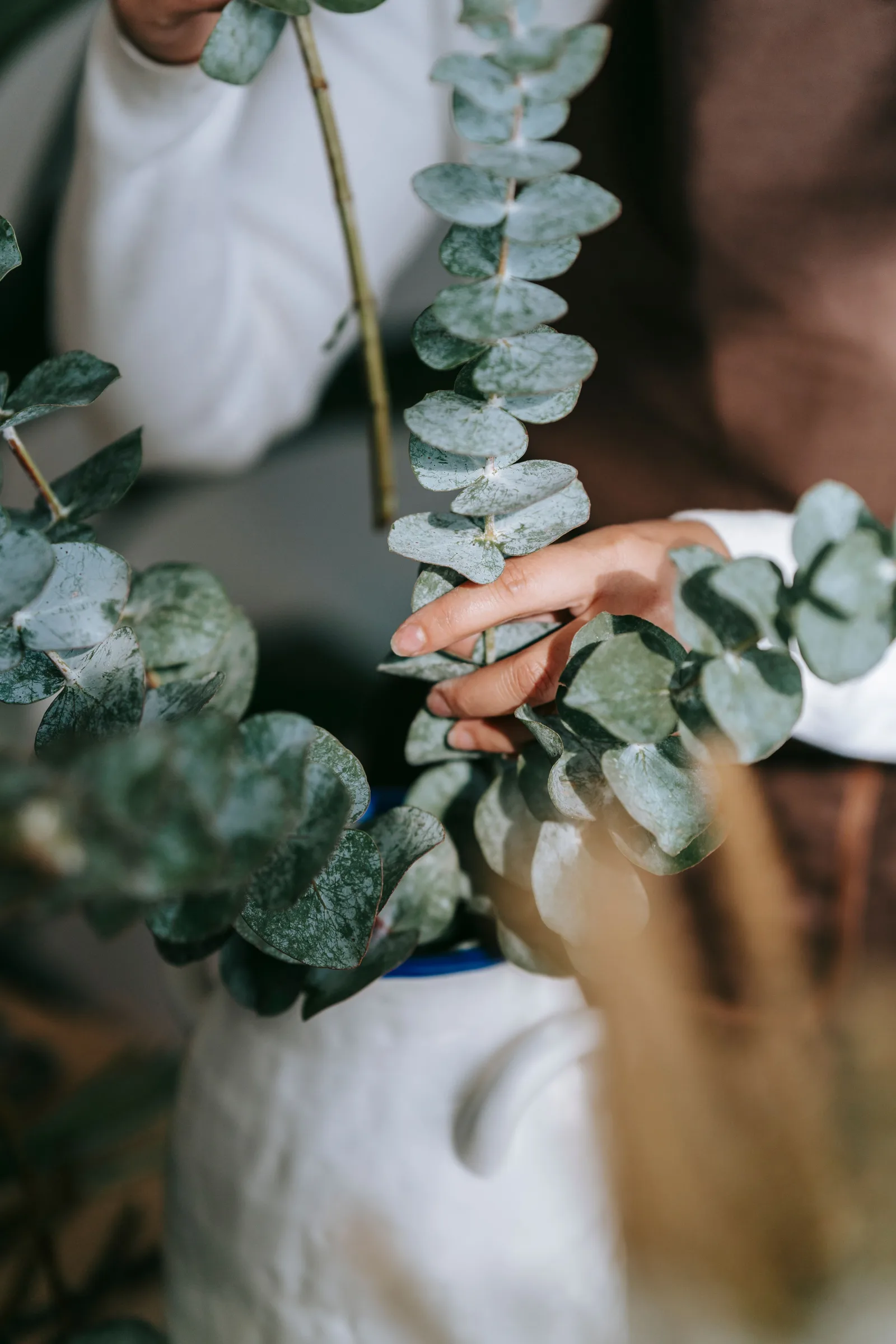 Eucalyptus Wreath flowers