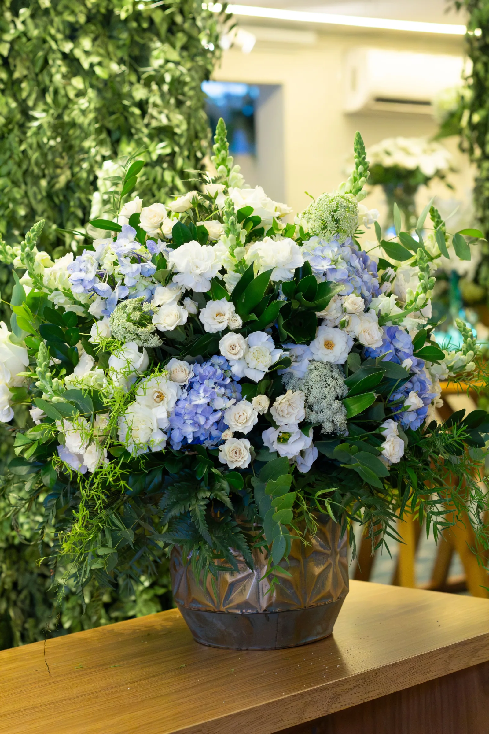 Hydrangea Cloud flowers