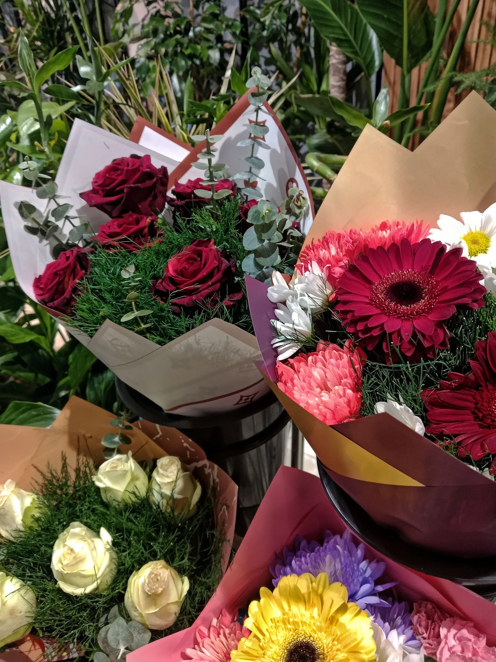 Mixed Gerbera flowers